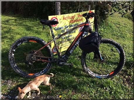 Fahrradtourismus E-Bike Bauernhoffeier Italien la bianca fattoria 3 Fahrradtourismus E-Bike Bauernhoffeier Italien la bianca fattoria 3